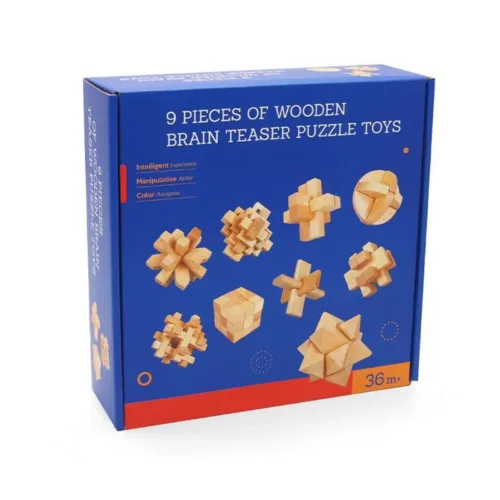 9 Pieces of Wooden Brain Teaser Puzzle Toys