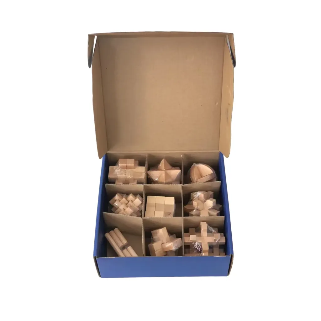 9 Pieces of Wooden Brain Teaser Puzzle Toys
