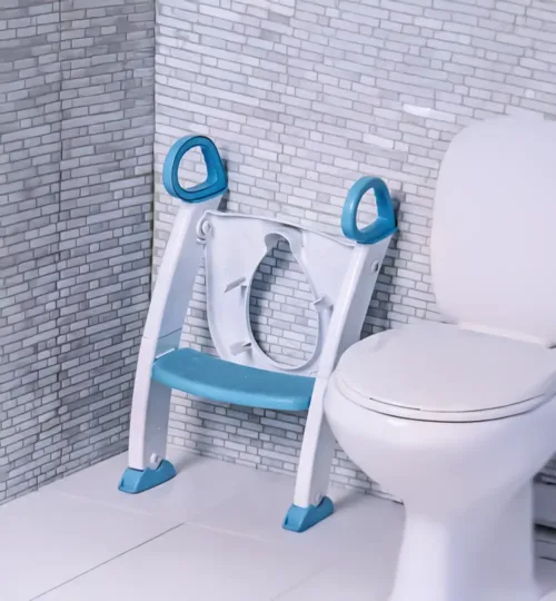 Potty Training Seat with Ladder