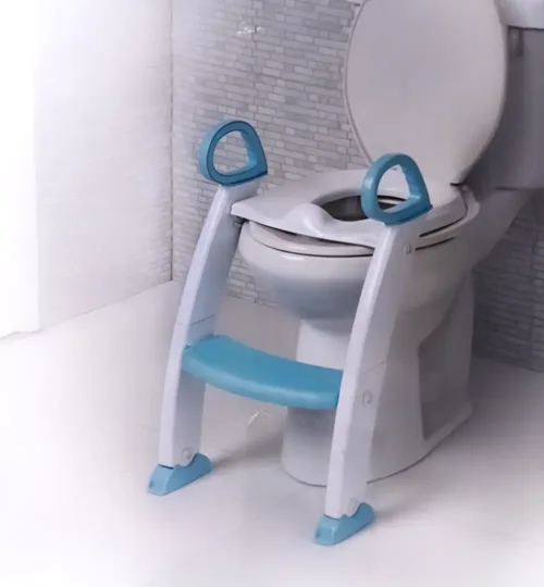 Potty Training Seat with Ladder