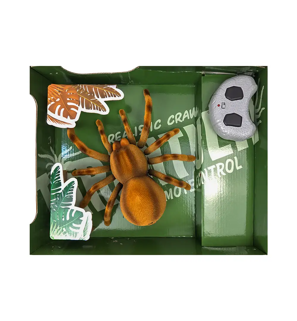 RC Spider