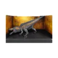 Baryonyx Detailed Prehistoric Dinosaur Toy Baryonyx Detailed Prehistoric Dinosaur Toy