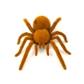 Realistic Vibrating Spider Toy Realistic Vibrating Spider Toy
