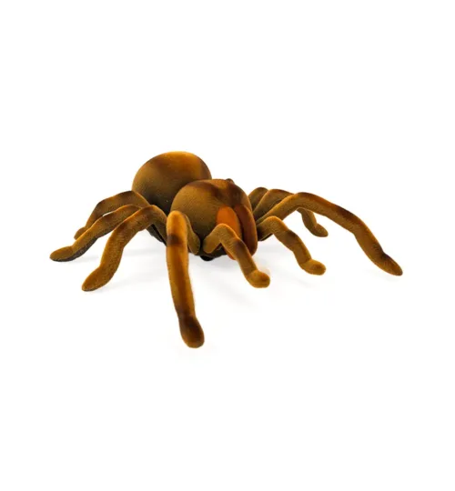 RC Spider