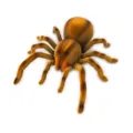 RC Spider RC Spider