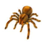 RC Spider