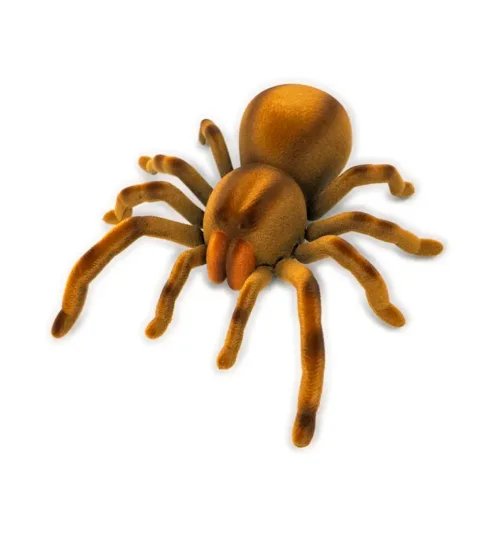 RC Spider