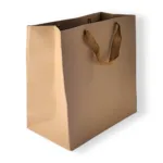 Brown Kraft Paper Gift Bag