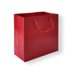 Textured Paper Gift Bag with Rope Handles