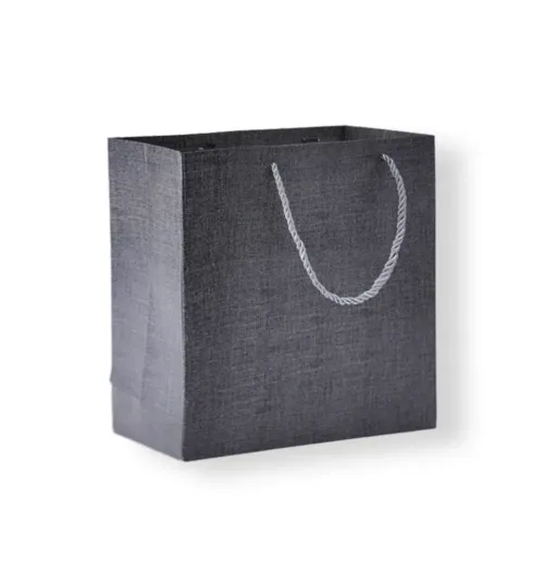 Textured Paper Gift Bag with Rope Handles