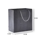 Textured Paper Gift Bag with Rope Handles
