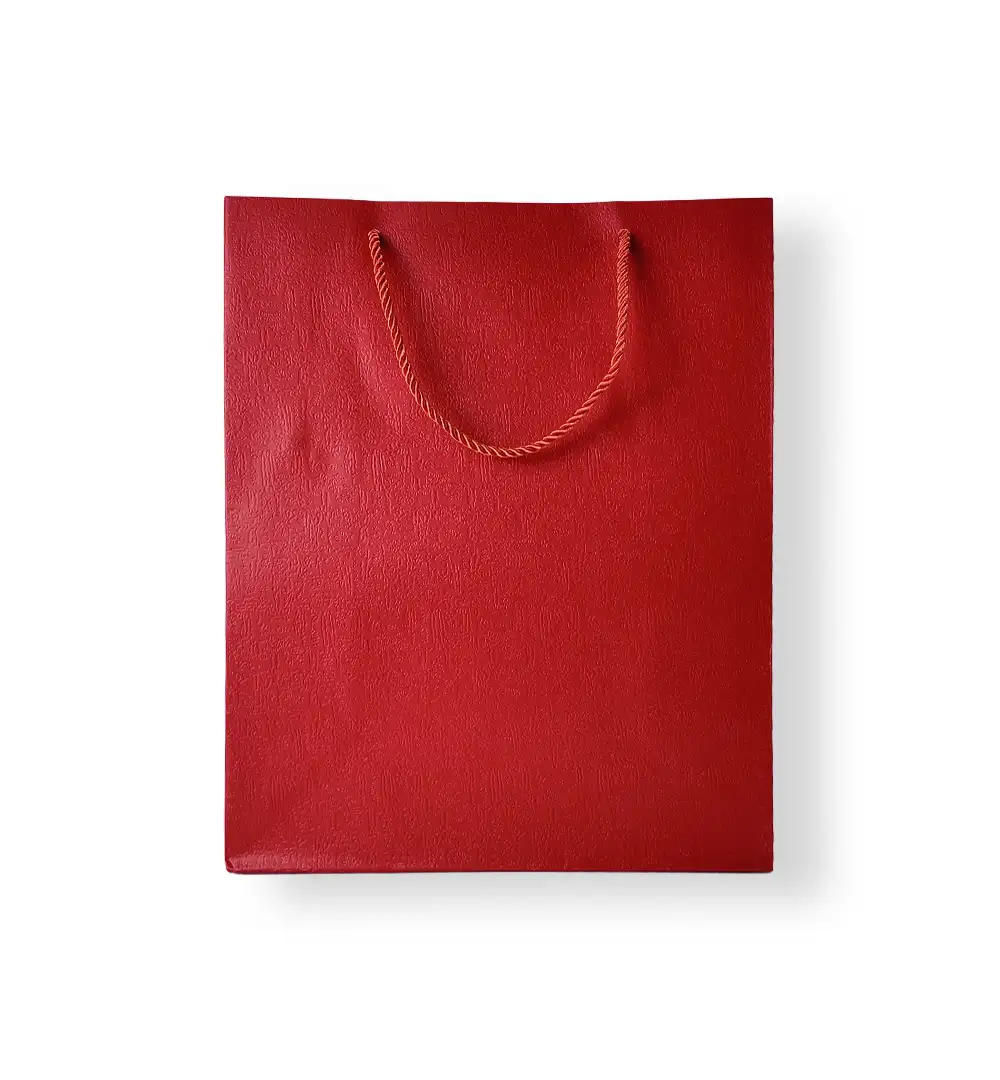 Textured Paper Gift Bag with Rope Handles