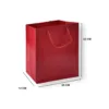 Textured Paper Gift Bag with Rope Handles Textured Paper Gift Bag with Rope Handles