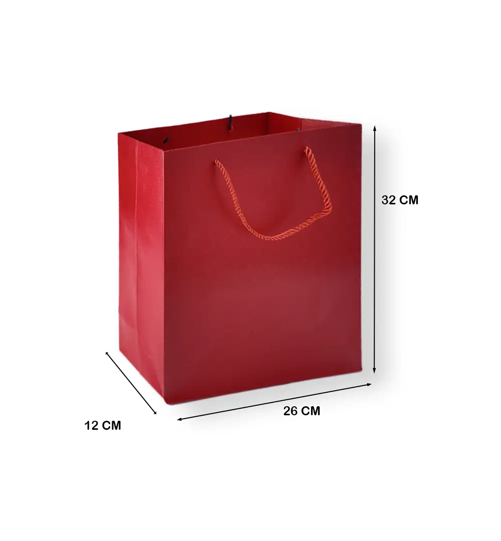 Textured Paper Gift Bag with Rope Handles