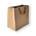 Brown Kraft Paper Gift Bag