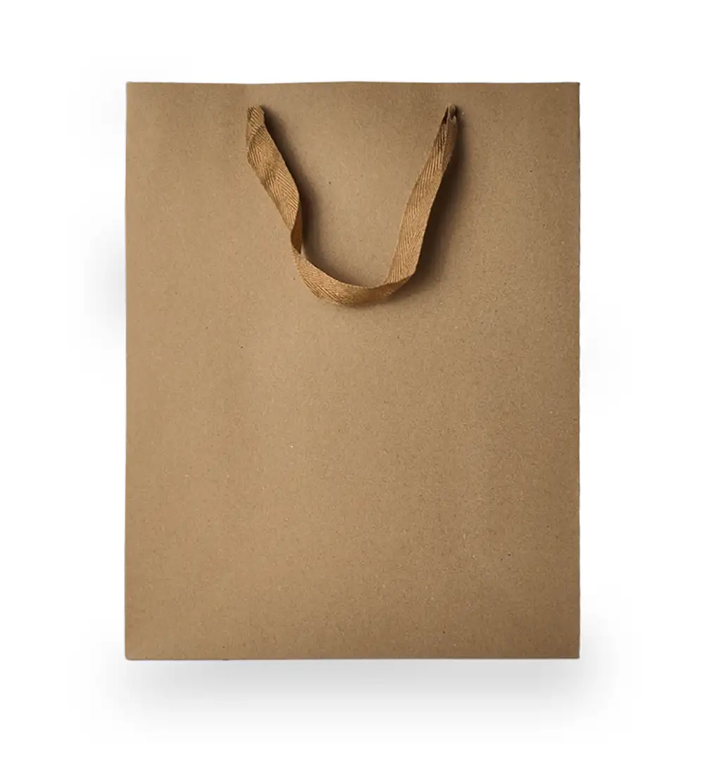 Brown Kraft Paper Gift Bag