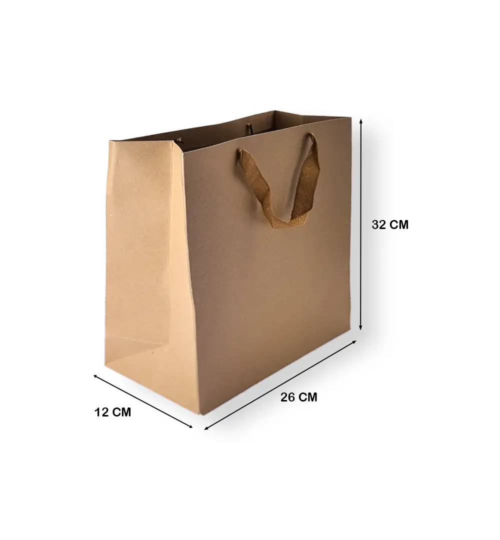 Brown Kraft Paper Gift Bag