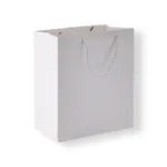 Paper Gift Bag with Rope Handles