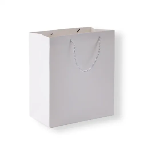 Paper Gift Bag with Rope Handles