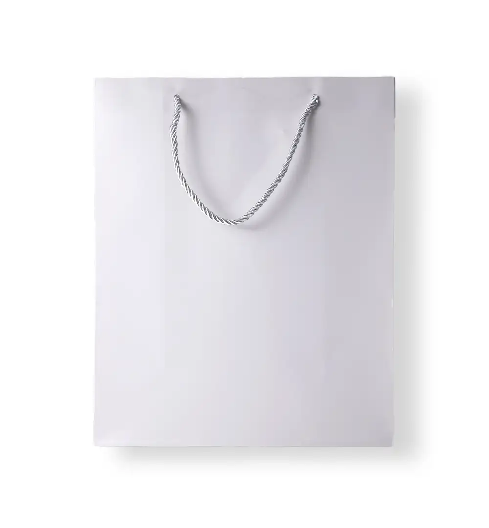 Paper Gift Bag with Rope Handles