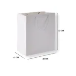 Paper Gift Bag with Rope Handles