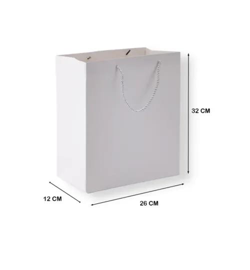 Paper Gift Bag with Rope Handles