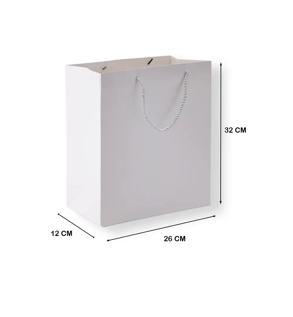 Paper Gift Bag with Rope Handles