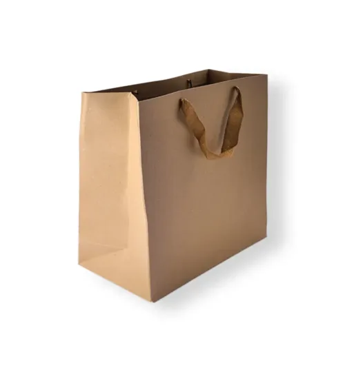 Brown Kraft Paper Gift Bag