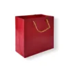 Gift Bag with Golden Rope Handles Gift Bag with Golden Rope Handles