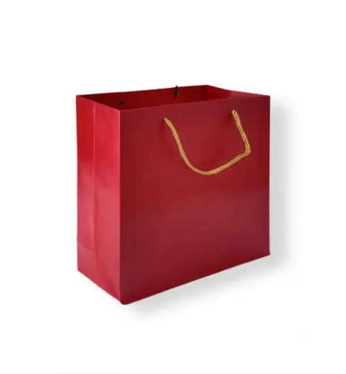 Gift Bag with Golden Rope Handles