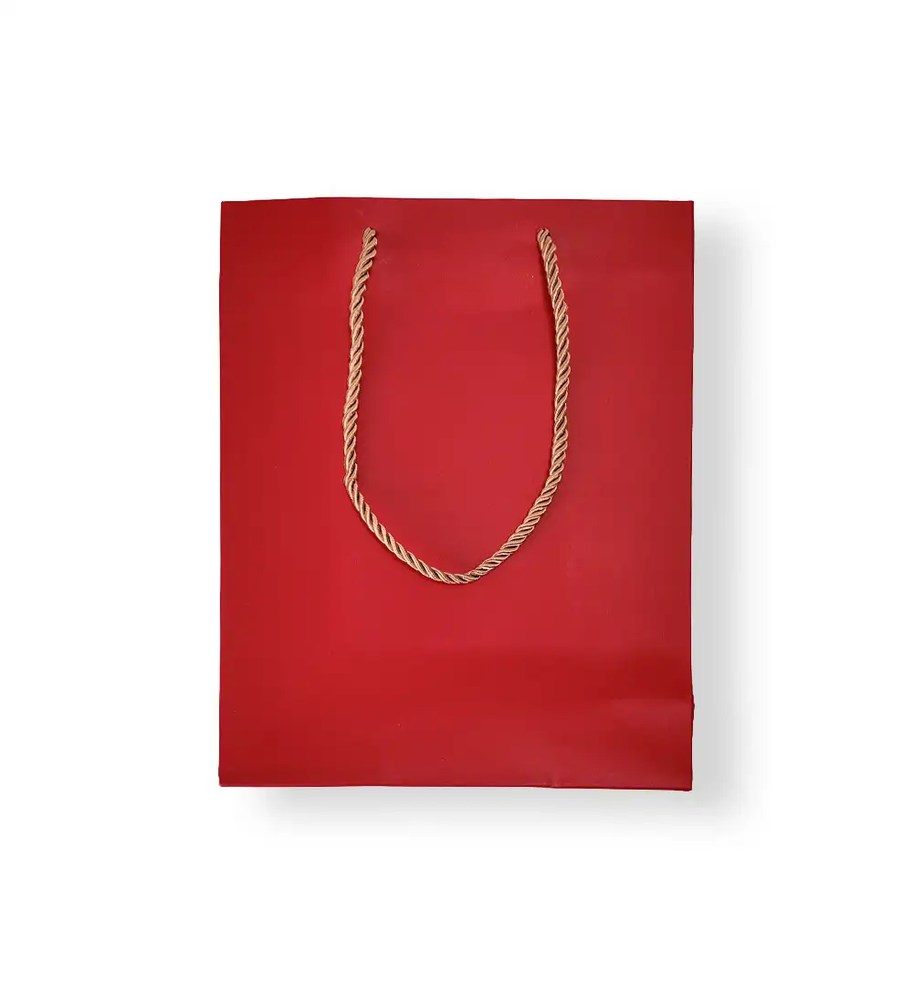 Gift Bag with Golden Rope Handles