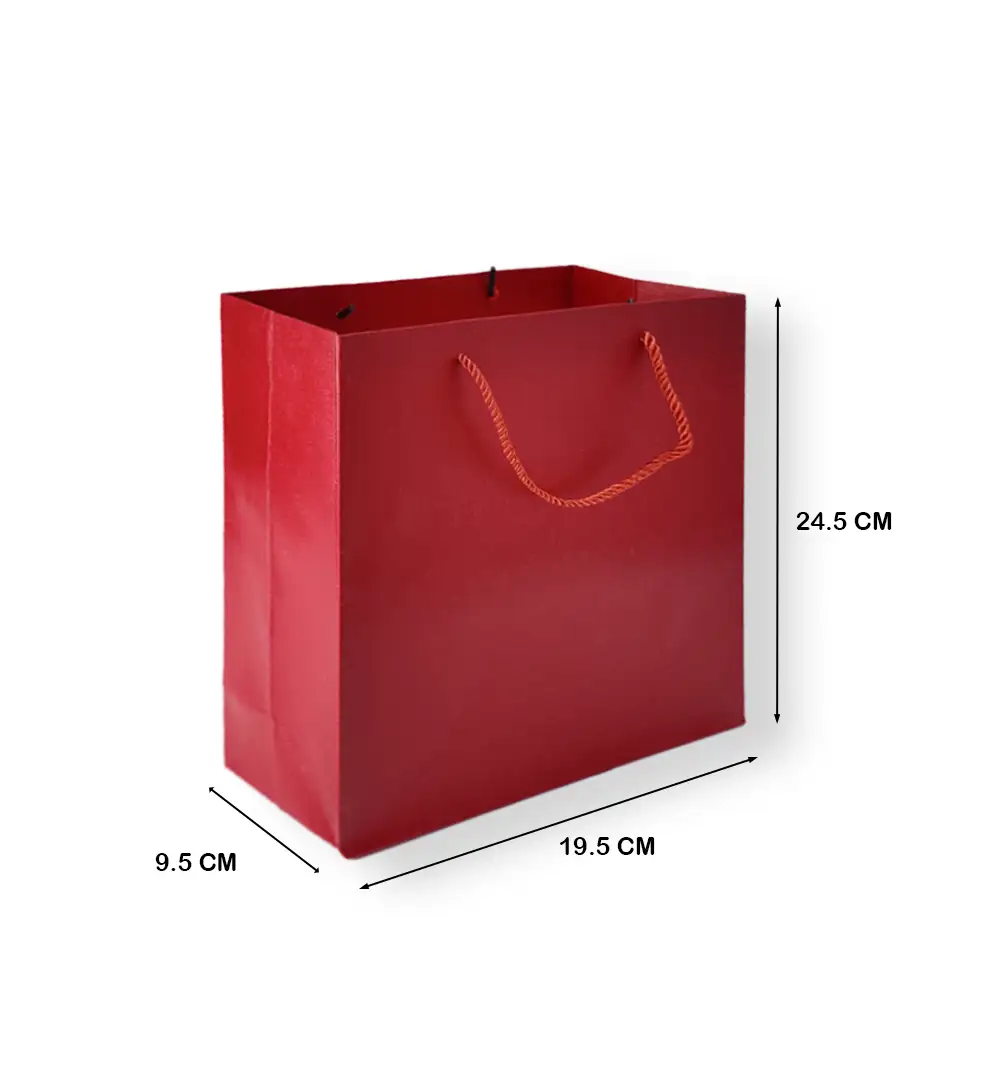 Gift Bag with Golden Rope Handles