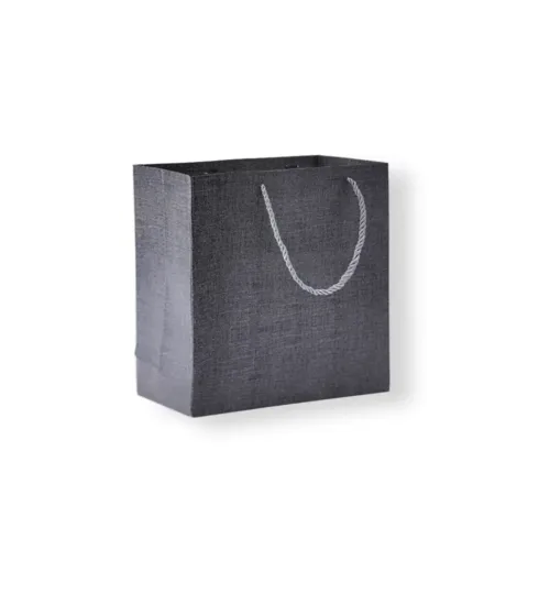 Textured Paper Gift Bag with Rope Handles