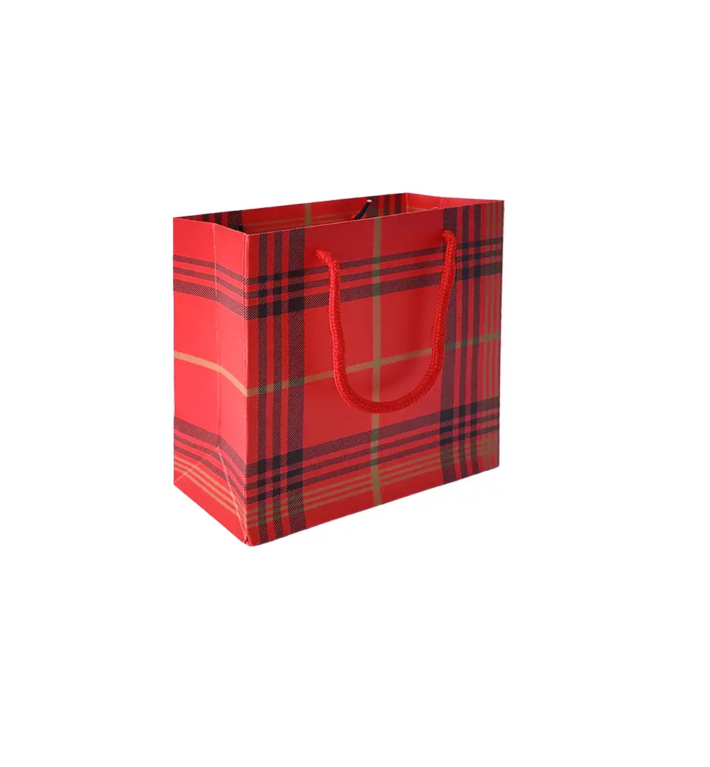Paper Gift Bag with Rope Handles
