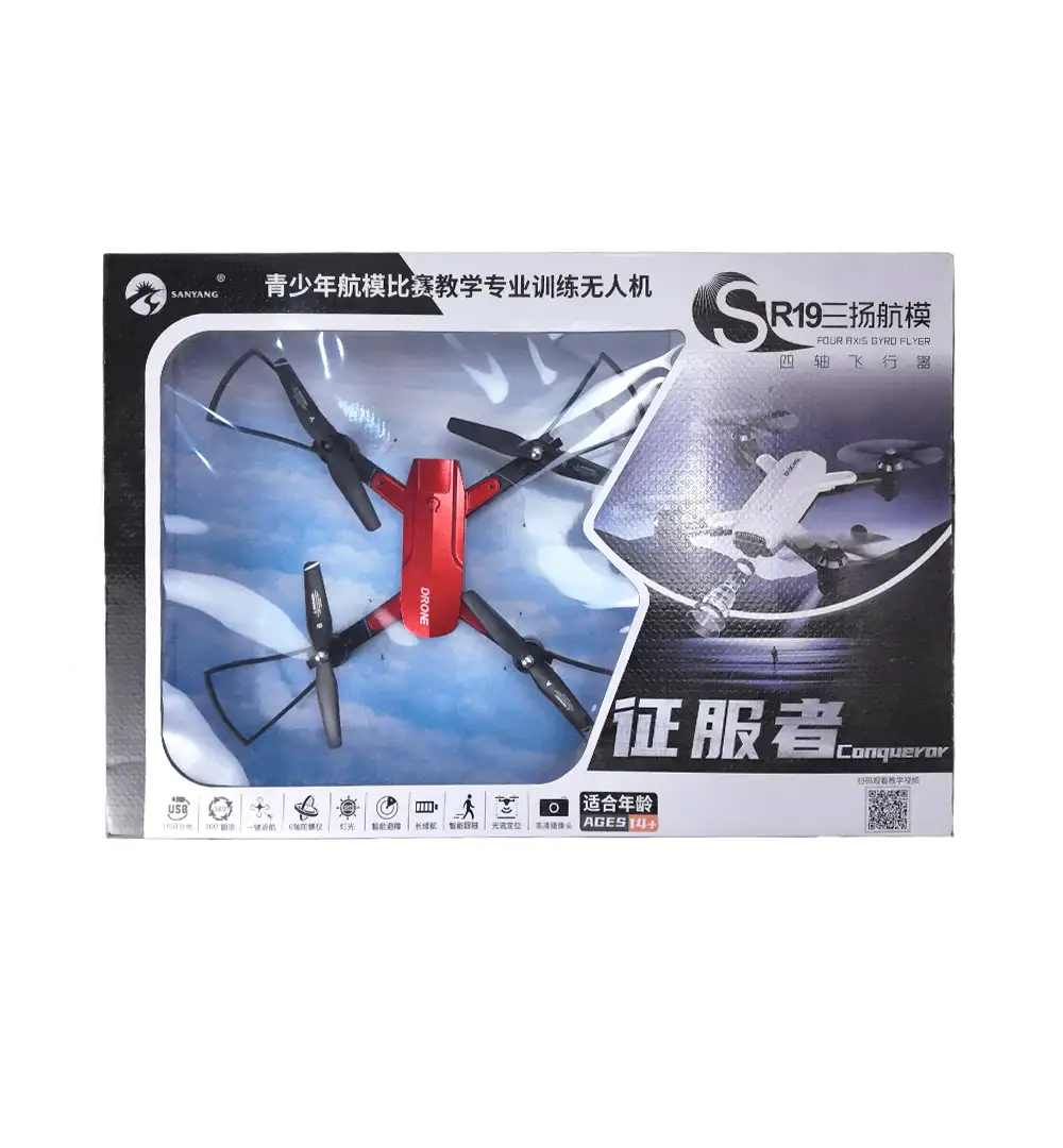 R19 Four-Axis Gyro Mini RC Drone