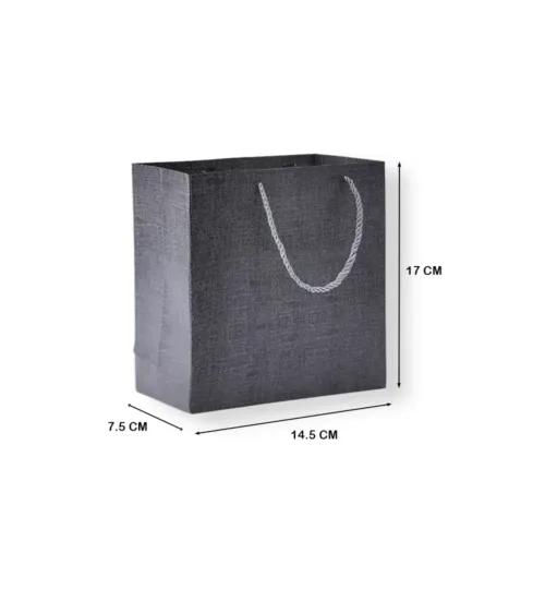 Textured Paper Gift Bag with Rope Handles